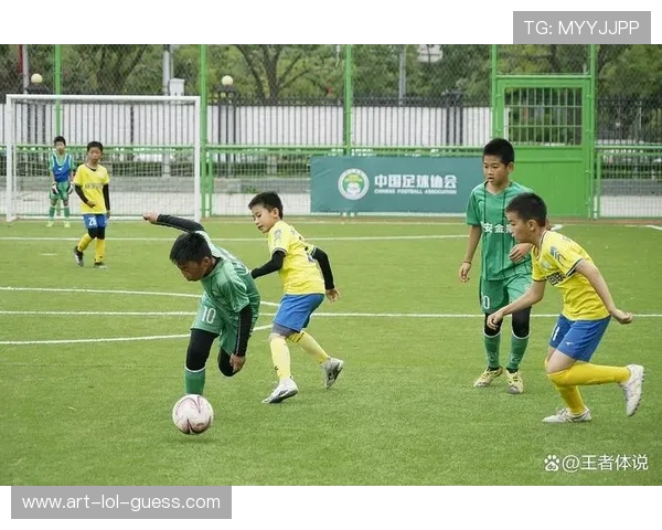 我心中的足球英雄是谁 他带给我的启示与影响