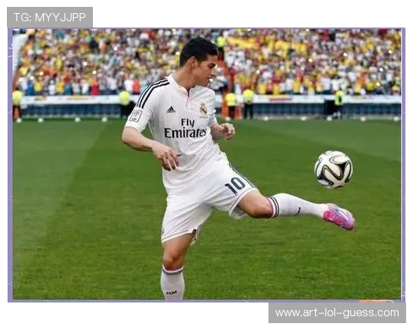 探寻足球传奇之路：球星背后的奋斗与荣耀