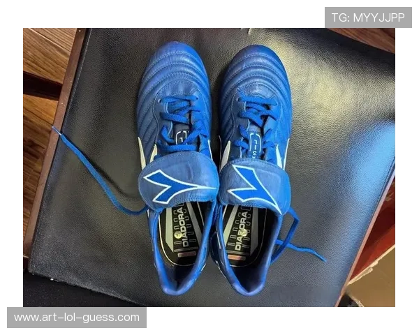 足球球星专用球鞋价格揭秘大牌球鞋的市场售价与品牌价值分析 足球球星专用球鞋价格揭秘大牌球鞋的市场售价与品牌价值分析